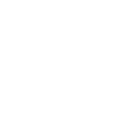 Commercial Tech Firm