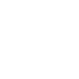 U.S. Federal Client