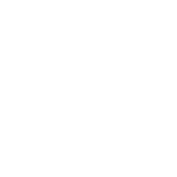 Systems Integrator